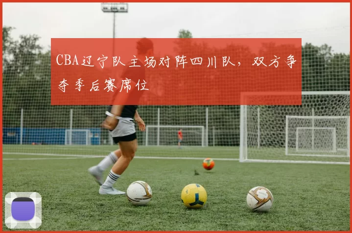 CBA辽宁队主场对阵四川队，双方争夺季后赛席位