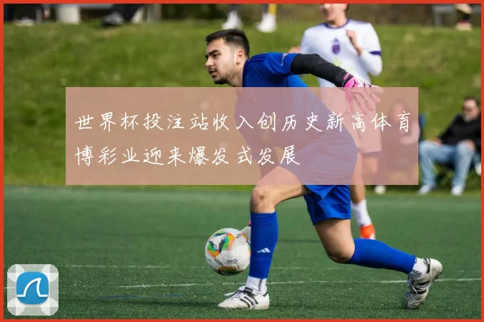 世界杯投注站收入创历史新高体育博彩业迎来爆发式发展