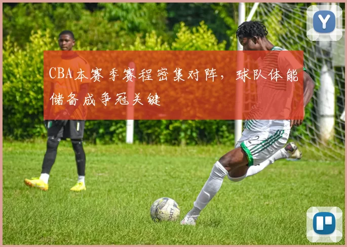 CBA本赛季赛程密集对阵，球队体能储备成争冠关键