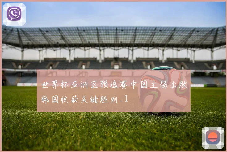 世界杯亚洲区预选赛中国主场击败韩国收获关键胜利_1