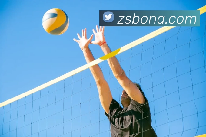 星空官方登录入口品牌故事